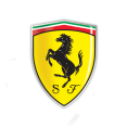 Установка откидных рамок номера Ferrari